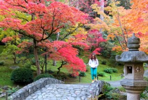 Maple-Viewing-Festival