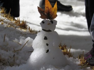 Mini Snowman