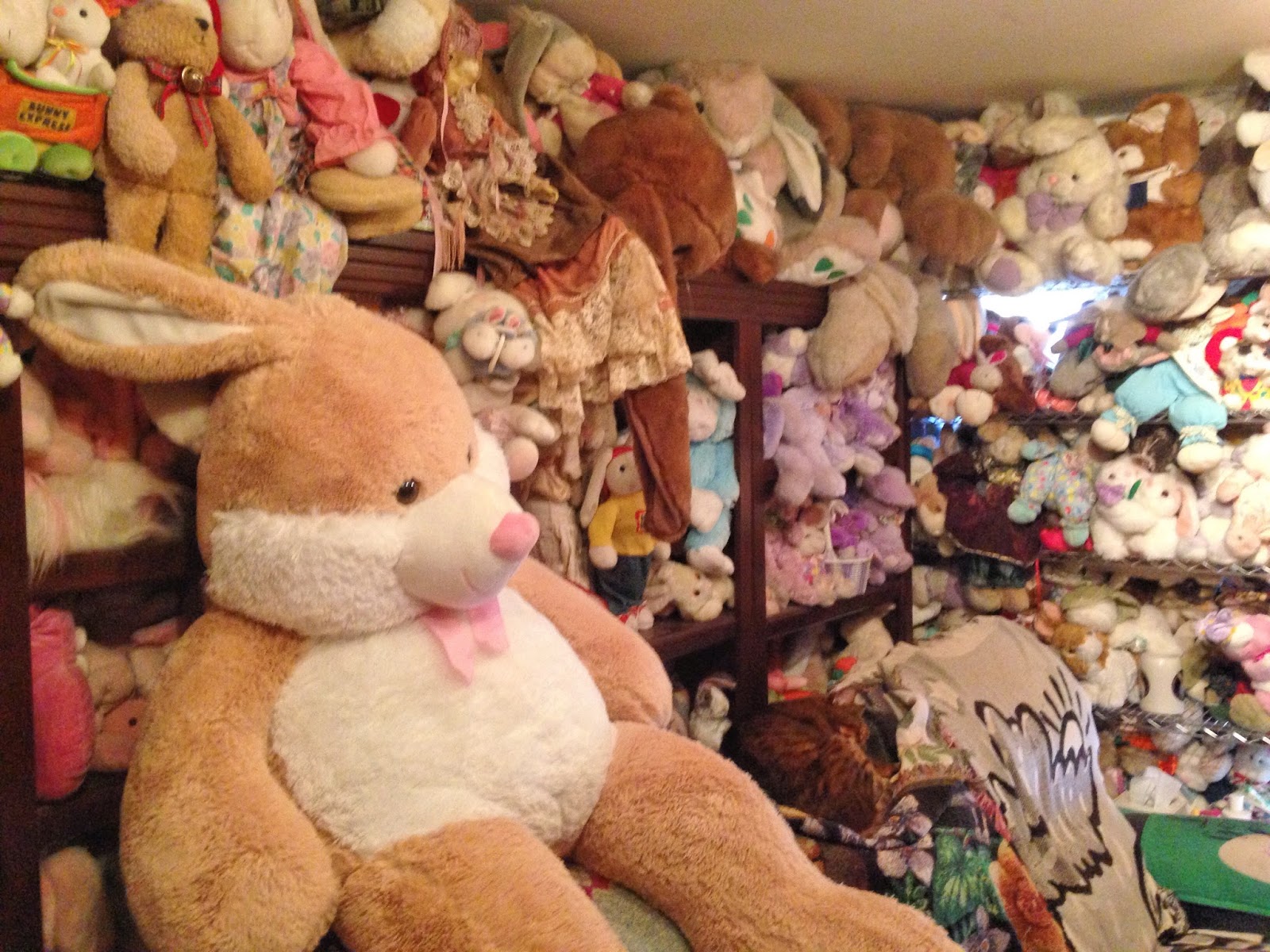 Stuffed animals 1