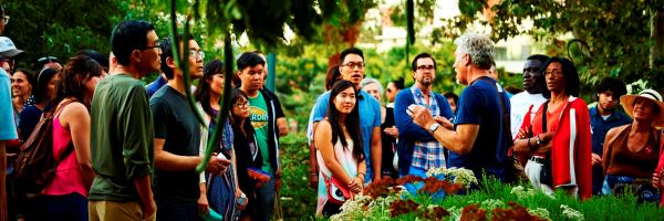 Tour - Nature Gardens, cropped