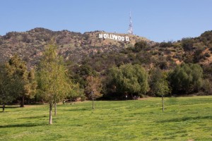 lake-hollywood-park-12