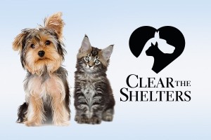 event-calendar-news-and-events-image-clear-the-shelters-08172017
