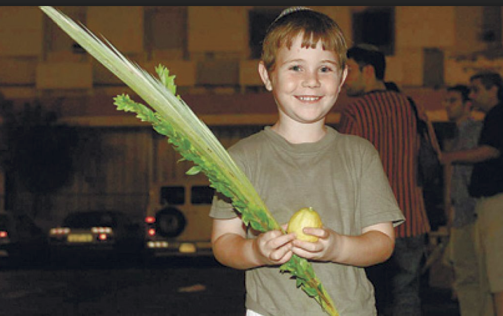 kid with palm fronds jewish holiday