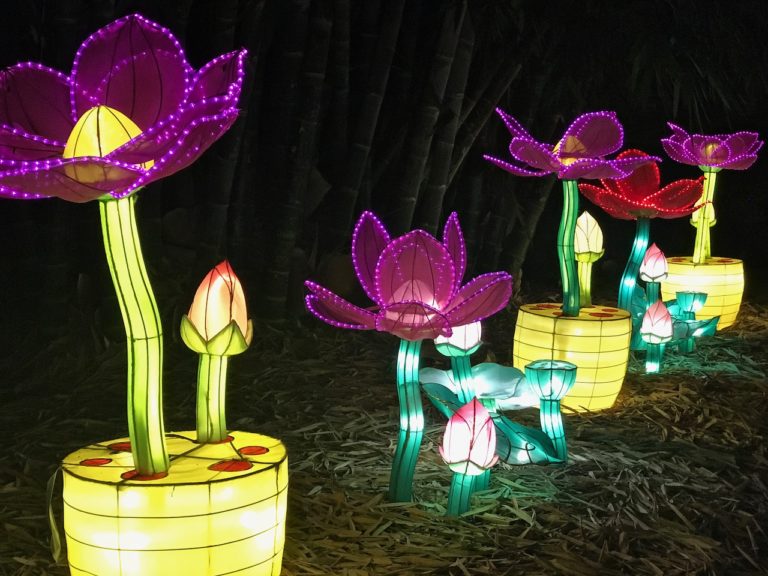 Moonlight-Forest-Magic-Lantern-Art-Festival-L.A.-Arboretum-Travels-With-Mai-Tai-Tom-1-1-768x576