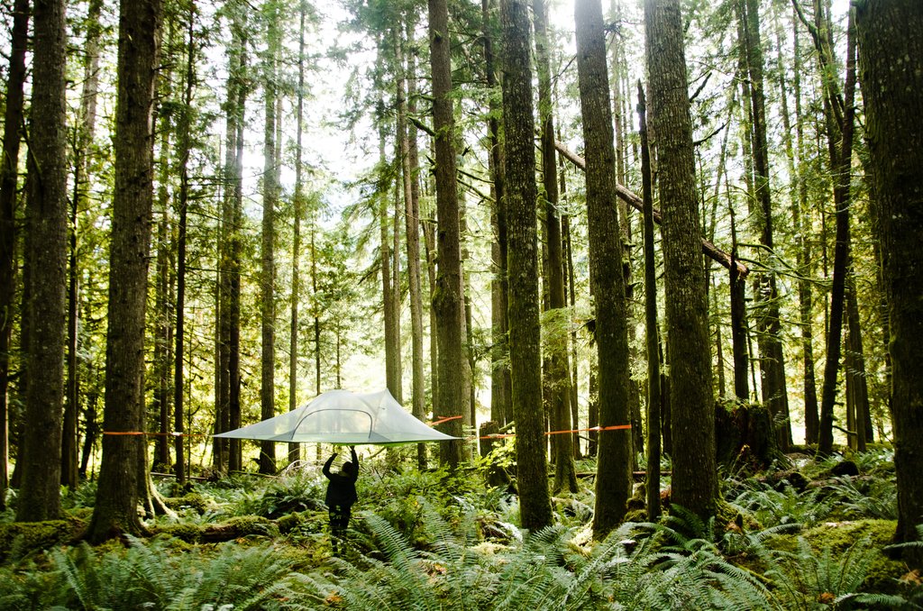 Tentsile_Tree_Tents_Green_Friday_Blog_1024x1024