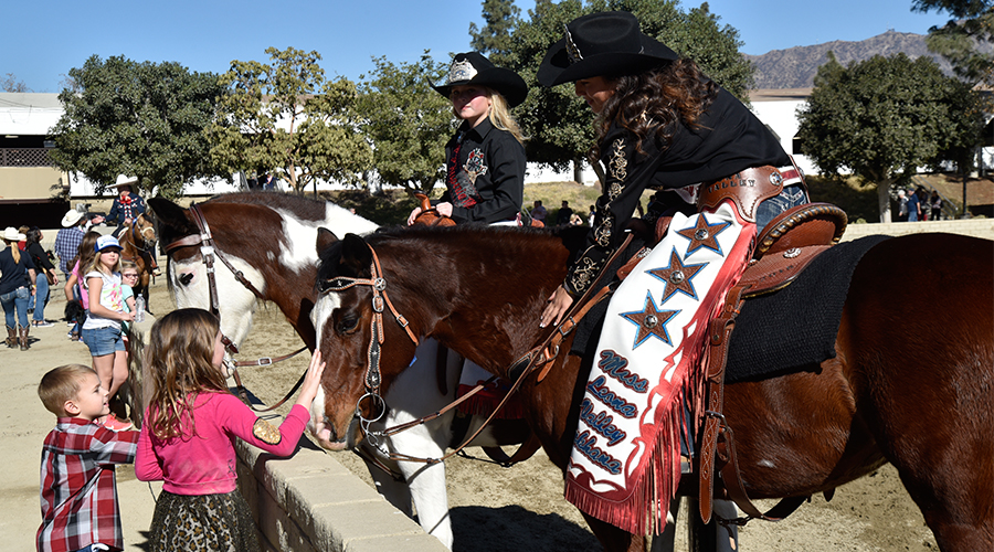 Equestfest-Image-for-Website