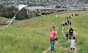 b276a67d3a_debs-park-kite-flying-festival