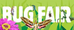 BugFair2019_slider_noDate_FA