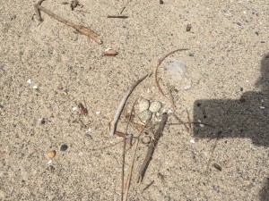 image002