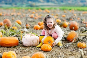 Pumpkin-Patch-768x512