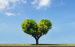 sfl-earth-day-freebies-deals-and-sales-on-saturday-20170418